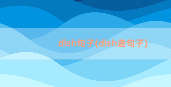 dish句子(dish造句子)