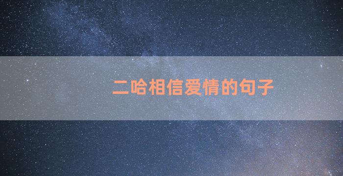 二哈相信爱情的句子