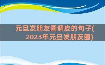 元旦发朋友圈调皮的句子(2023年元旦发朋友圈)