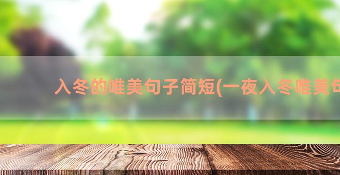 入冬的唯美句子简短(一夜入冬唯美句子)