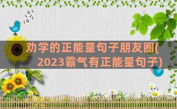 劝学的正能量句子朋友圈(2023霸气有正能量句子)