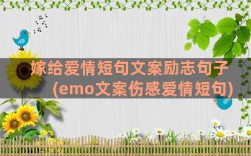 嫁给爱情短句文案励志句子(emo文案伤感爱情短句)