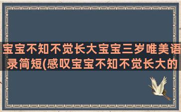 宝宝不知不觉长大宝宝三岁唯美语录简短(感叹宝宝不知不觉长大的说说)