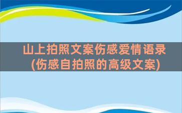 山上拍照文案伤感爱情语录(伤感自拍照的高级文案)