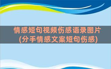 情感短句视频伤感语录图片(分手情感文案短句伤感)