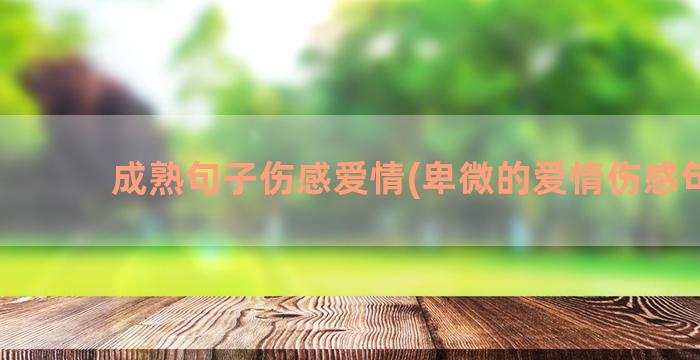 成熟句子伤感爱情(卑微的爱情伤感句子)