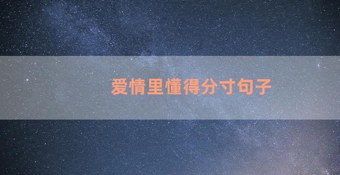 爱情里懂得分寸句子