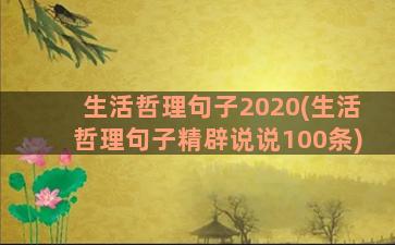 生活哲理句子2020(生活哲理句子精辟说说100条)