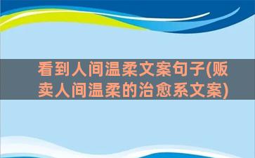 看到人间温柔文案句子(贩卖人间温柔的治愈系文案)