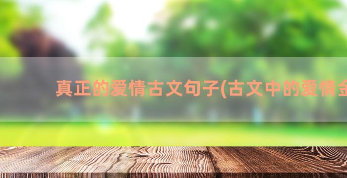 真正的爱情古文句子(古文中的爱情金句)