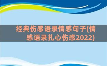 经典伤感语录情感句子(情感语录扎心伤感2022)