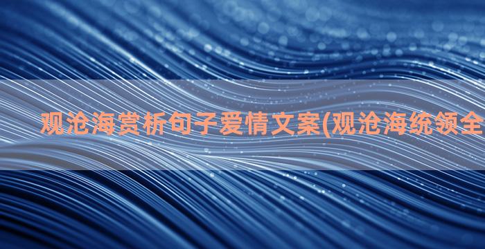 观沧海赏析句子爱情文案(观沧海统领全篇的句子)