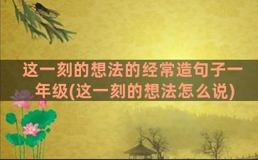 这一刻的想法的经常造句子一年级(这一刻的想法怎么说)