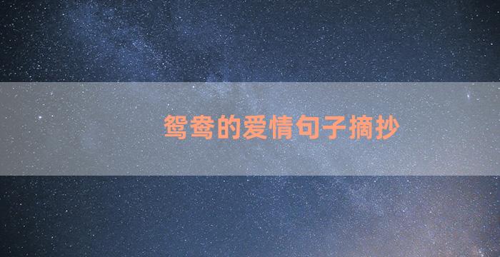 鸳鸯的爱情句子摘抄